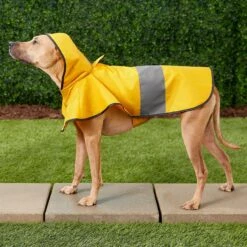 Frisco Lightweight Rainy Days Dog Raincoat -Cat Toy Shop 119208 PT7. AC SS1800 V1540475377