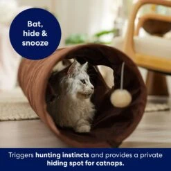 Frisco 47-in Foldable Crinkle Play Tunnel With 2 Windows -Cat Toy Shop 140168 PT3. AC SS1800 V1695241917