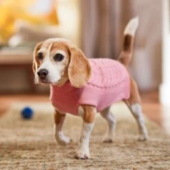 Frisco Dog & Cat Cable Knitted Sweater -Cat Toy Shop 144254 PT5. AC SS1800 V1541456525