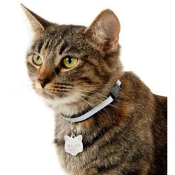 Frisco Stainless Steel Personalized Cat ID Tag, Cat -Cat Toy Shop 153043 PT5. AC SS1800 V1540560131