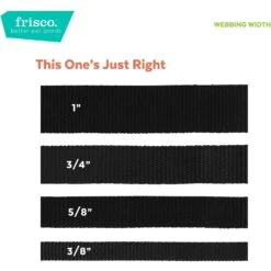 Frisco Nylon Breakaway Cat Collar With Bell -Cat Toy Shop 153148 PT6. AC SS1800 V1629992798