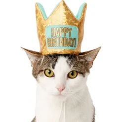 Frisco Happy Birthday Dog & Cat Crown -Cat Toy Shop 153665 PT2. AC SS1800 V1551230979