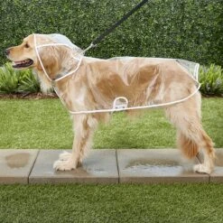 Frisco Lightweight Clear Vinyl Dog Raincoat -Cat Toy Shop 153749 PT5. AC SS1800 V1553630250