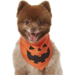 Frisco Jack O' Lantern Pumpkin Dog & Cat Bandana -Cat Toy Shop 158934 PT2. AC SS1800 V1690828662