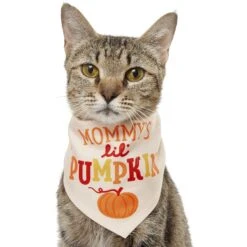 Cat Toy Shop 33 Frisco Mommy's Lil Pumpkin Dog & Cat Bandana