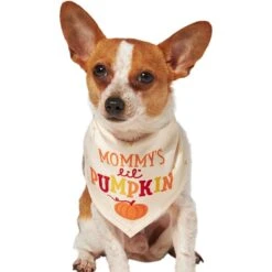 Frisco Mommy's Lil Pumpkin Dog & Cat Bandana -Cat Toy Shop 158936 PT2. AC SS1800 V1689629423