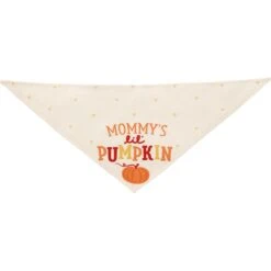 Frisco Mommy's Lil Pumpkin Dog & Cat Bandana -Cat Toy Shop 158936 PT3. AC SS1800 V1689628812