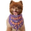 Frisco I Do Tricks For Treats Dog & Cat Bandana