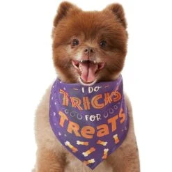 Frisco I Do Tricks For Treats Dog & Cat Bandana -Cat Toy Shop 158938 PT3. AC SS1800 V1633075903