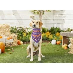 Frisco I Do Tricks For Treats Dog & Cat Bandana -Cat Toy Shop 158938 PT4. AC SS1800 V1633069923