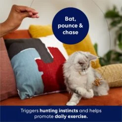 Frisco Cardboard & Wire Teaser Cat Toy -Cat Toy Shop 161194 PT3. AC SS1800 V1686579092