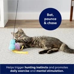 Frisco Bird With Feathers Teaser Wand Cat Toy With Catnip -Cat Toy Shop 161199 PT2. AC SS1800 V1678723897