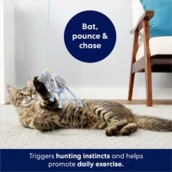 Frisco Bouncy Mouse Plush Teaser Cat Toy With Catnip -Cat Toy Shop 161259 PT5. AC SS1800 V1686580155