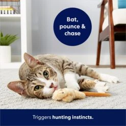 Frisco Skinny Mouse Plush Cat Toy With Catnip 8 Frisco Skinny Mouse Plush Cat Toy With Catnip -Cat Toy Shop 161268 PT5. AC SS1800 V1686578718