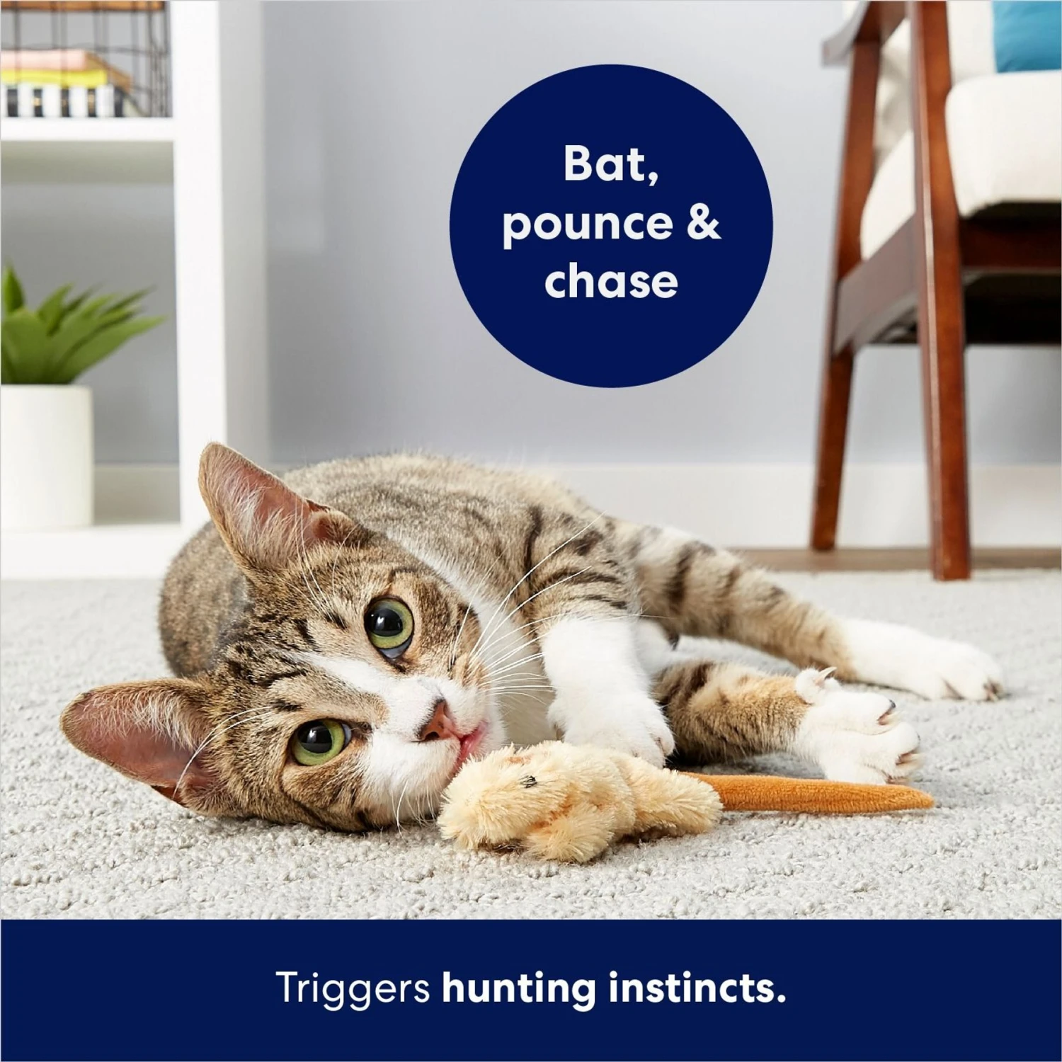 Frisco Skinny Mouse Plush Cat Toy With Catnip 4 Frisco Skinny Mouse Plush Cat Toy With Catnip - Image 4