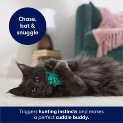 Frisco Moppy Ball Cat Toy With Catnip -Cat Toy Shop 161280 PT3. AC SS1800 V1686580106