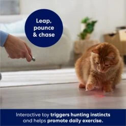 Frisco 2-in-1 Laser & LED Light Laser Cat Toy -Cat Toy Shop 166309 PT3. AC SS1800 V1686579688