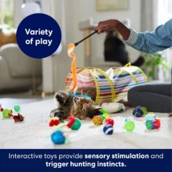 Frisco Plush, Teaser, Ball & Tunnel Variety Pack Cat Toy With Catnip -Cat Toy Shop 169688 PT5. AC SS1800 V1691784246
