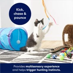Frisco Plush, Teaser, Ball & Tri-Tunnel Variety Pack Cat Toy With Catnip, 20 Count -Cat Toy Shop 178161 PT3. AC SS1800 V1678723898