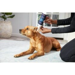 Frisco Anti-Bacterial And Anti-Fungal Ear Flush Cleaner For Cats & Dogs, 12-oz Bottle -Cat Toy Shop 178705 PT3. AC SS1800 V1582124328