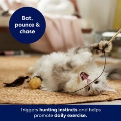 Frisco Sparkle Ball Teaser Wand Cat Toy With Catnip -Cat Toy Shop 183254 PT3. AC SS1800 V1695241915