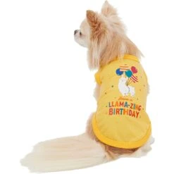 Frisco Llama-zing Birthday Dog & Cat T-Shirt