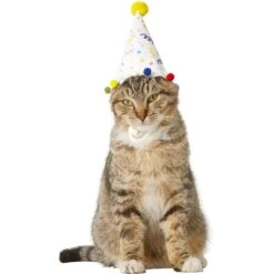 Frisco Confetti Dog & Cat Birthday Hat -Cat Toy Shop 191274 PT2. AC SS1800 V1582053206