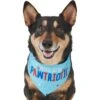 Frisco Pawtriot Dog & Cat Bandana
