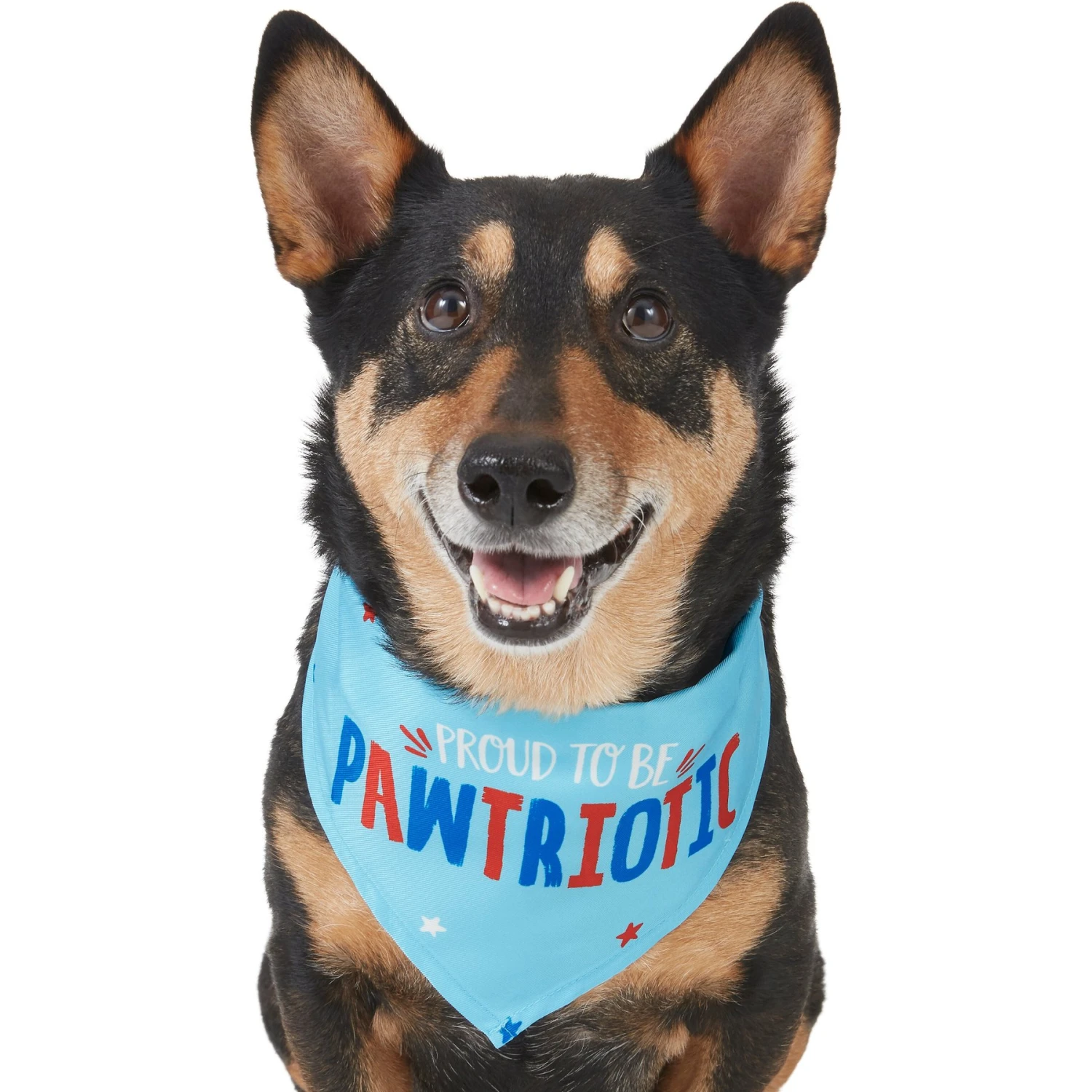 Frisco Pawtriot Dog & Cat Bandana 1 Frisco Pawtriot Dog & Cat Bandana