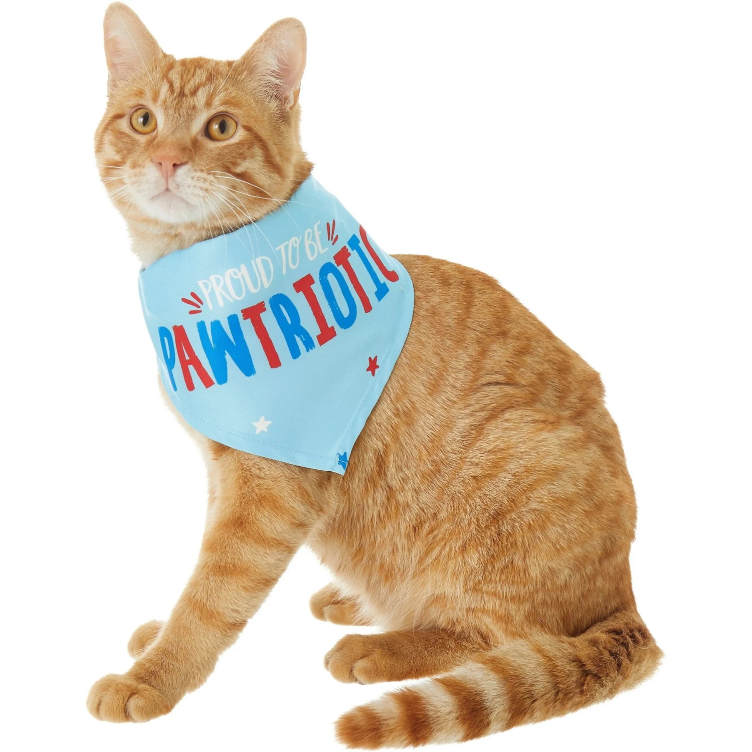 Frisco Pawtriot Dog & Cat Bandana 3 Frisco Pawtriot Dog & Cat Bandana - Image 3