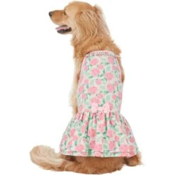 Frisco Pink Floral Dog & Cat Dress -Cat Toy Shop 191295 PT2. AC SS1800 V1637653354