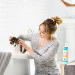 Frisco Shed Control Dog & Cat Conditioner, Sweet Nectar Scent -Cat Toy Shop 192072 PT4. AC SS1800 V1589487678