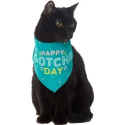 Frisco Happy Gotcha Day Dog & Cat Bandana -Cat Toy Shop 200538 PT2. AC SS1800 V1633057623