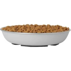 Frisco Saucer Cat Bowl -Cat Toy Shop 204463 PT2. AC SS1800 V1598449872