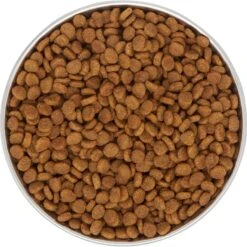 Frisco Saucer Cat Bowl -Cat Toy Shop 204463 PT4. AC SS1800 V1599240127