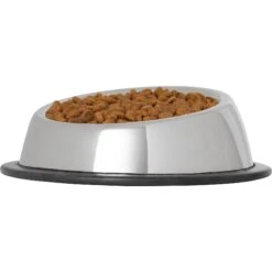 Frisco Stainless Steel Taper Non-Skid Cat Bowl -Cat Toy Shop 204467 PT2. AC SS1800 V1598449858