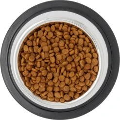 Frisco Stainless Steel Taper Non-Skid Cat Bowl -Cat Toy Shop 204467 PT4. AC SS1800 V1599240133