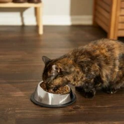 Frisco Stainless Steel Taper Non-Skid Cat Bowl -Cat Toy Shop 204467 PT6. AC SS1800 V1599090080