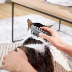 Frisco Cat Curry Brush -Cat Toy Shop 206853 PT6. AC SS1800 V1680186158