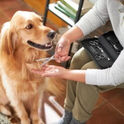 Frisco Shears Kit For Cats And Dogs -Cat Toy Shop 206903 PT4. AC SS1800 V1604009923