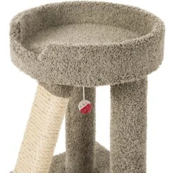 Frisco 24-in Real Carpet Cat Scratching Perch With Toy -Cat Toy Shop 208960 PT3. AC SS1800 V1589221651