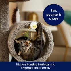 Frisco Plush Dangly Egg Buddy Cat Toy With Catnip 8 Frisco Plush Dangly Egg Buddy Cat Toy With Catnip -Cat Toy Shop 213844 PT5. AC SS1800 V1691784029