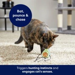 Frisco Dangly Avocado Buddy Plush Cat Toy With Catnip -Cat Toy Shop 213846 PT5. AC SS1800 V1691784029