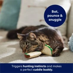 Frisco Taco Plush Cat Toy With Catnip -Cat Toy Shop 213856 PT5. AC SS1800 V1691783908