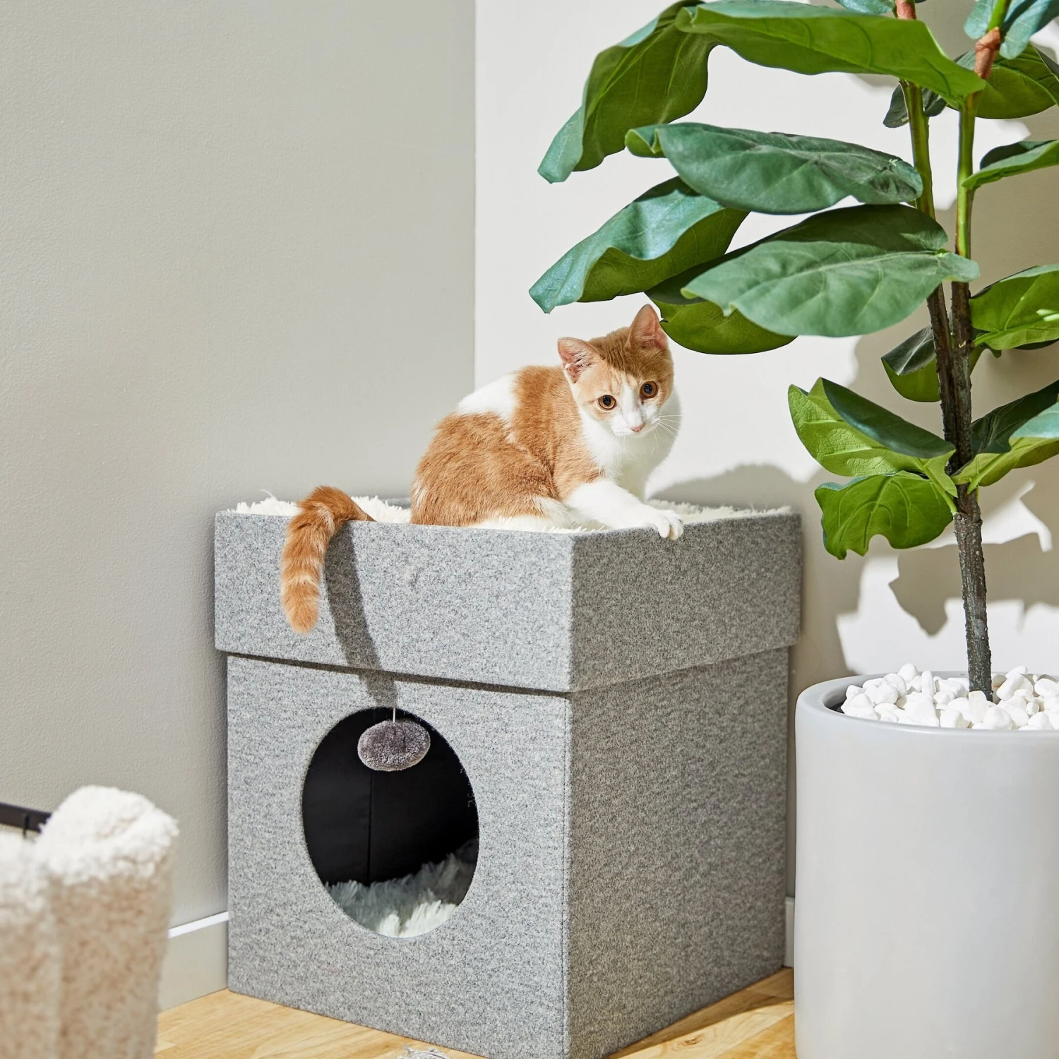 Frisco Single Cube Stackable And Collapsible Cat Condo 1 Frisco Single Cube Stackable And Collapsible Cat Condo
