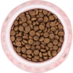 Frisco Pink Cute Cats Melamine Bowl -Cat Toy Shop 216043 PT4. AC SS1800 V1591020694