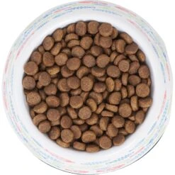 Frisco Colorful Fish Melamine Bowl -Cat Toy Shop 216047 PT4. AC SS1800 V1591020721