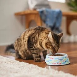 Frisco Colorful Fish Melamine Bowl -Cat Toy Shop 216047 PT7. AC SS1800 V1633025238