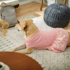 Frisco Cable Knit Dog & Cat Sweater Dress -Cat Toy Shop 223706 PT7. AC SS1800 V1599921696