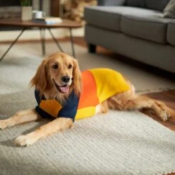 Frisco Colorblock Dog & Cat Turtleneck Sweater With Sleeves -Cat Toy Shop 223819 PT7. AC SS1800 V1599922008